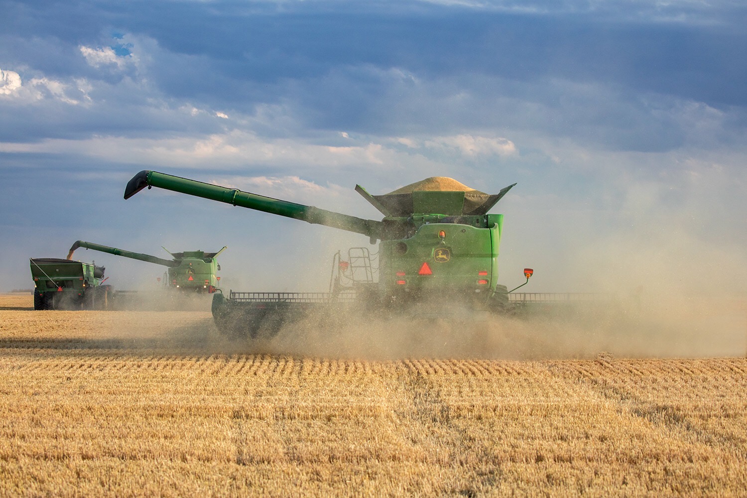Уборка-2020: намолочено более 7 млн тонн зерновых и зернобобовых