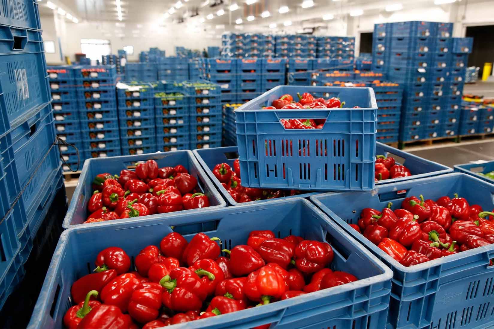 Евросоюз ограничит импорт российской и белорусской сельхозпродукции