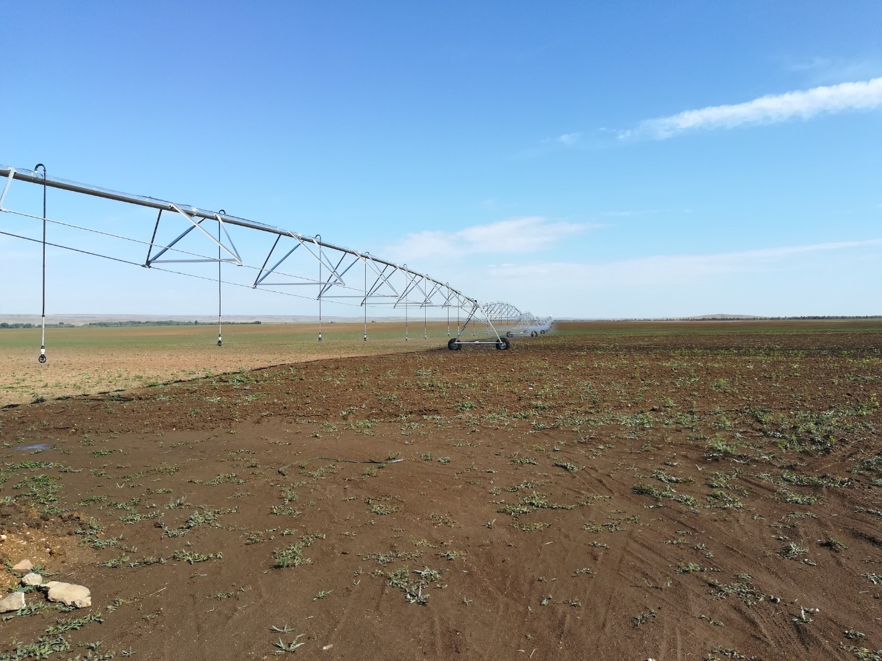 В Актюбинской области орошаемые площади увеличатся до 41 тыс га