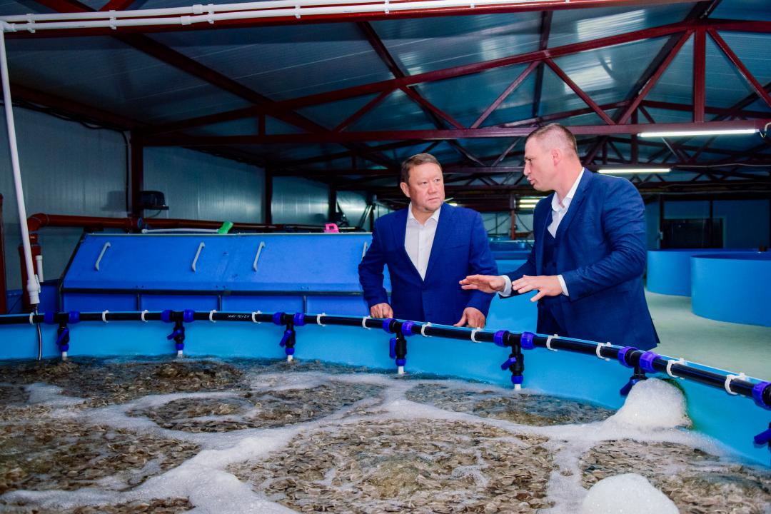 The first sturgeon farm was opened in Kostanay region