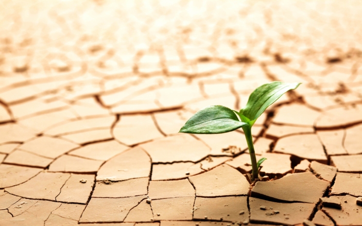 Умеренную засуху прогнозируют в мае 