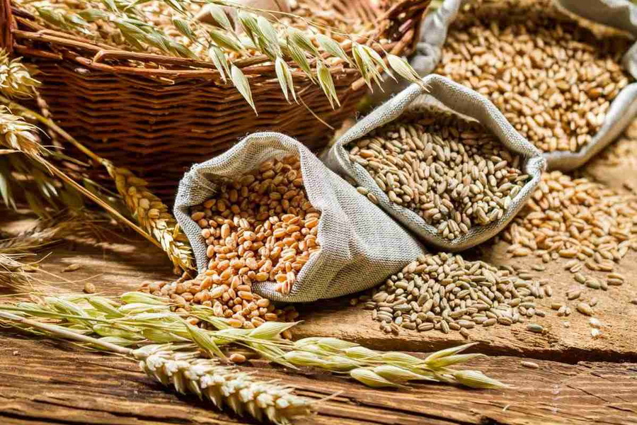 Елімізде астық және бұршақ дақылдарының өнімділігі 33% артты