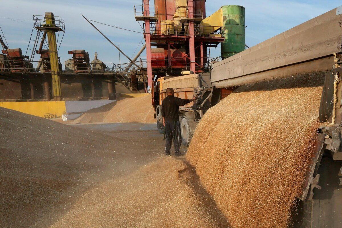 Wheat exporters earned a record amount of money