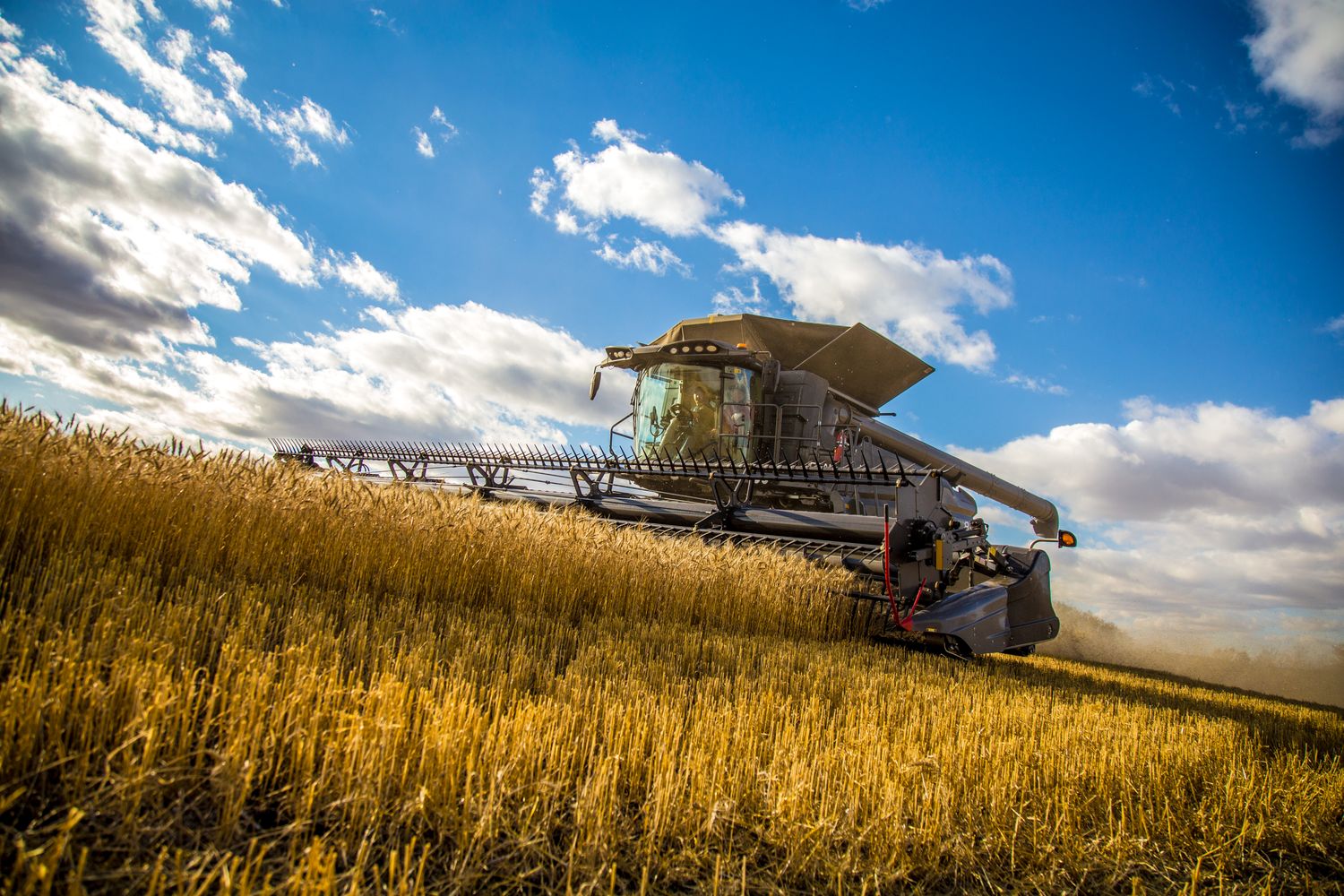 Урожай зерновых и зернобобовых в Казахстане превысил 19 млн тонн