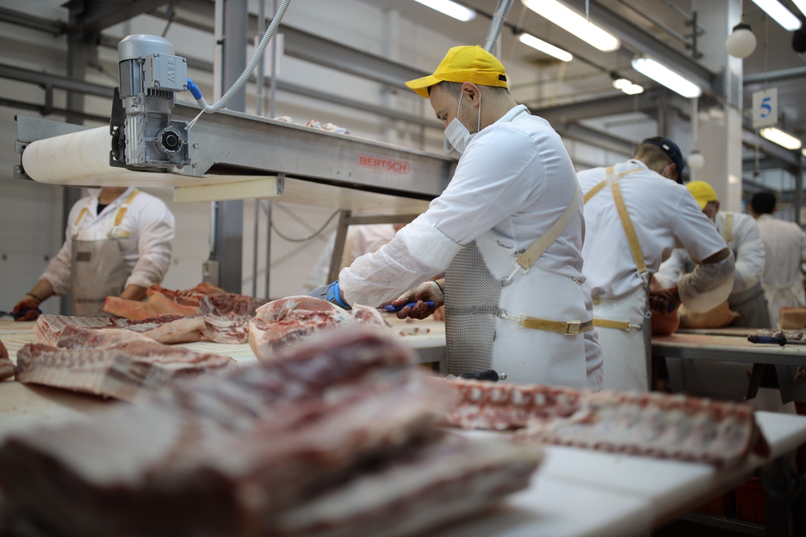 Meat production increased in Kazakhstan