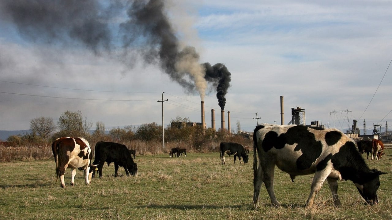 Agriculture accounts for 9.1% of all greenhouse gas emissions in Kazakhstan