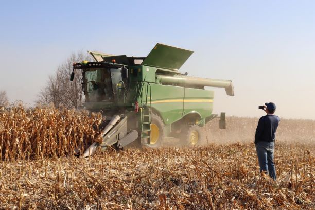 Ученые НАНОЦ и эксперты из США начали выводить кукурузу для производства попкорна
