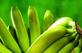 Бананы научились выращивать в Туркестанской области