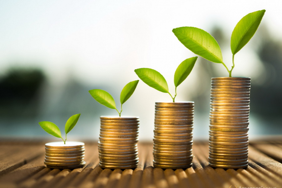 МСХ разрабатывает бесплатную систему субсидирования