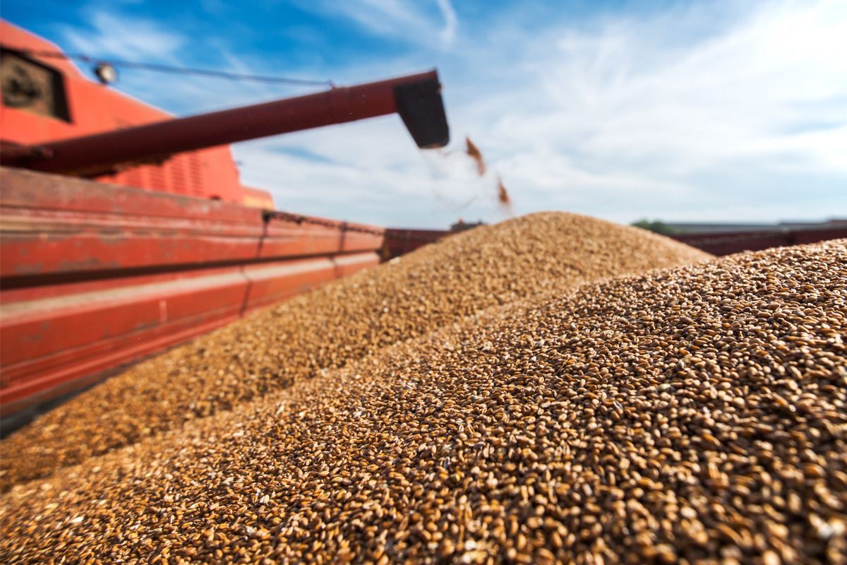 Россия повысила квоту по экспорту зерна