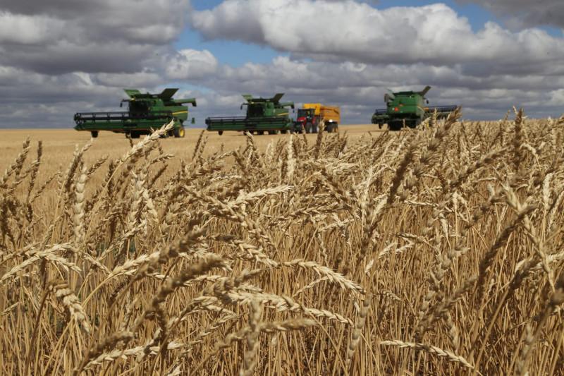 Свыше двух тысяч комбайнов убирают урожай в Карагандинской области
