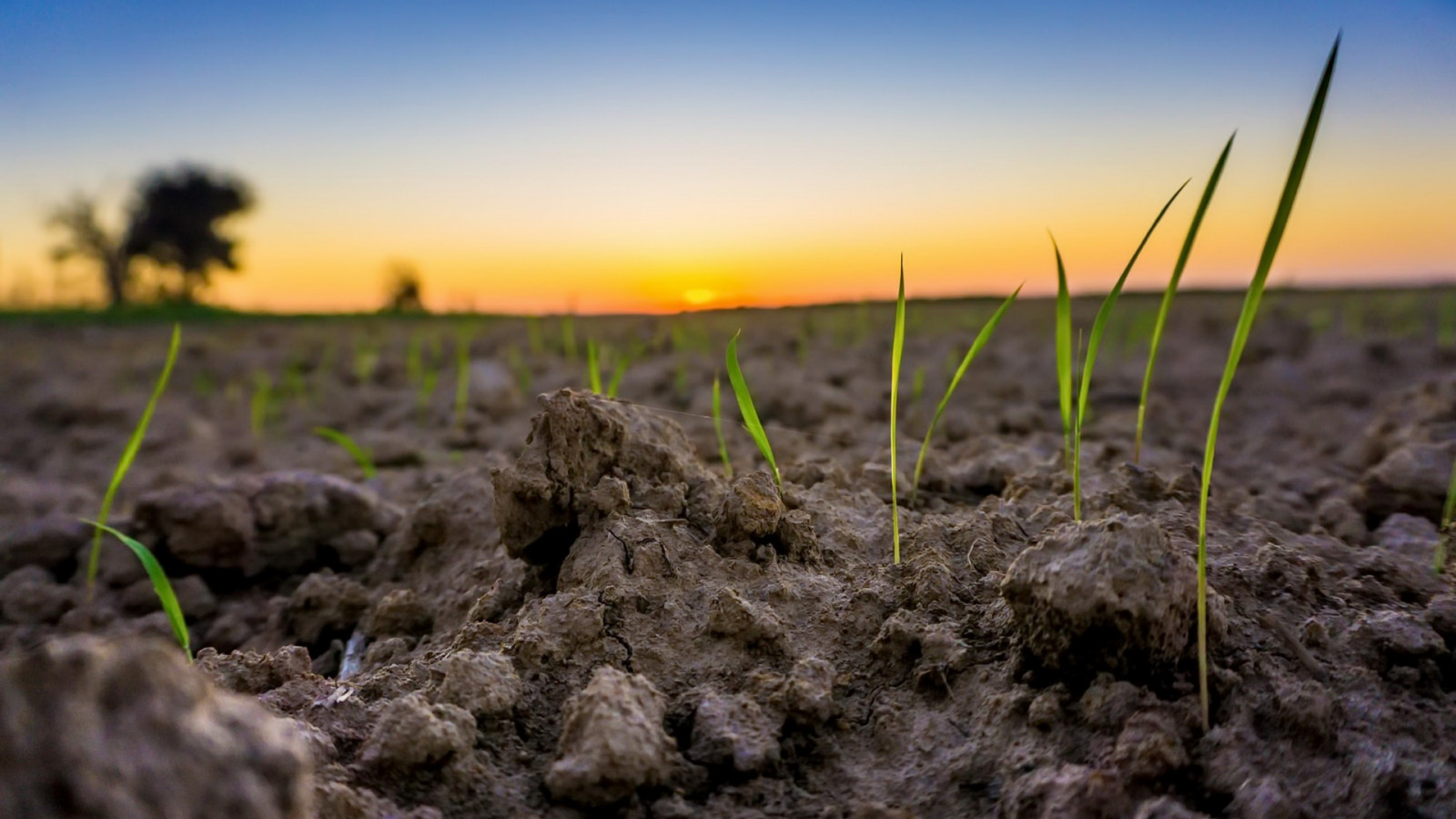 Когда утвердят предельные размеры участков сельхозназначения? 