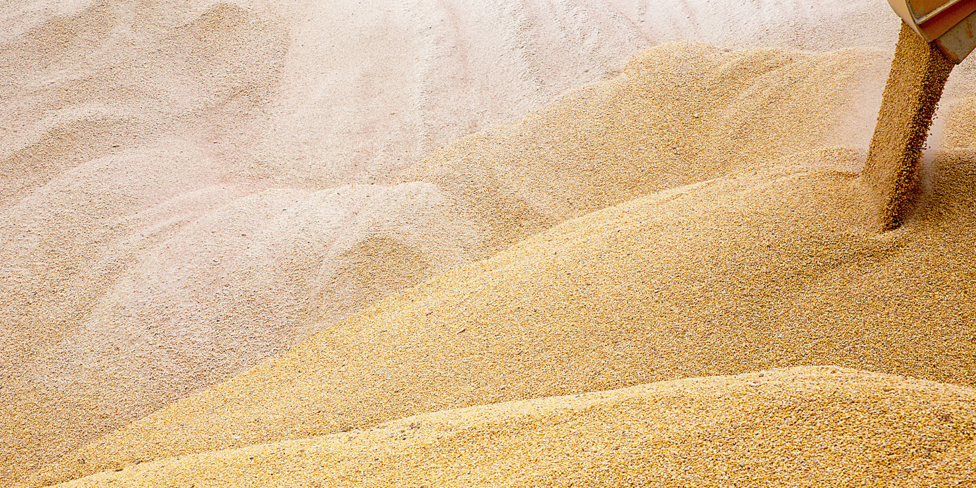 More than 14 million tons of grains are in stock in Kazakhstan