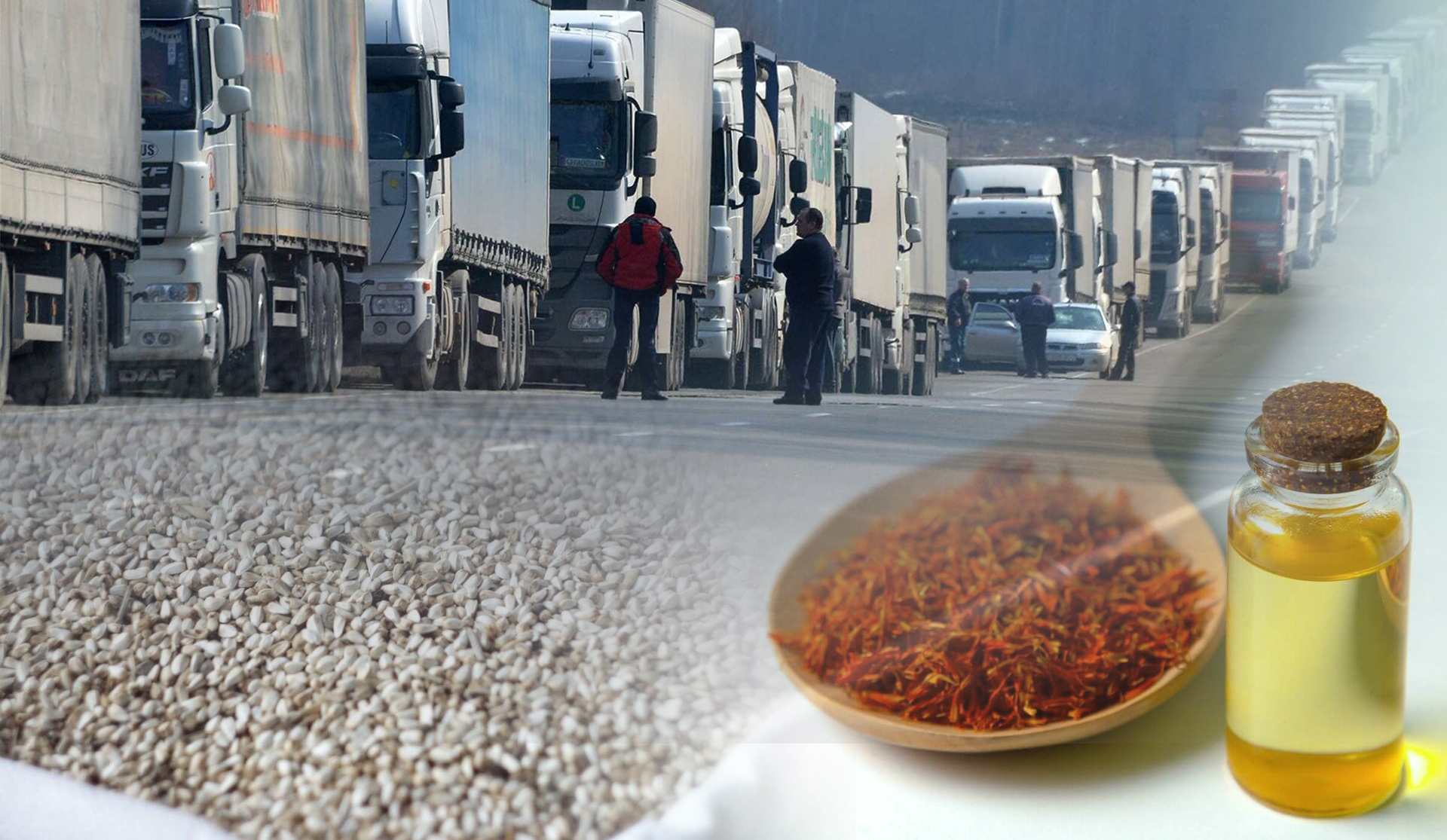 Проблема решается: семена и масло из Казахстана пропустили в КНР