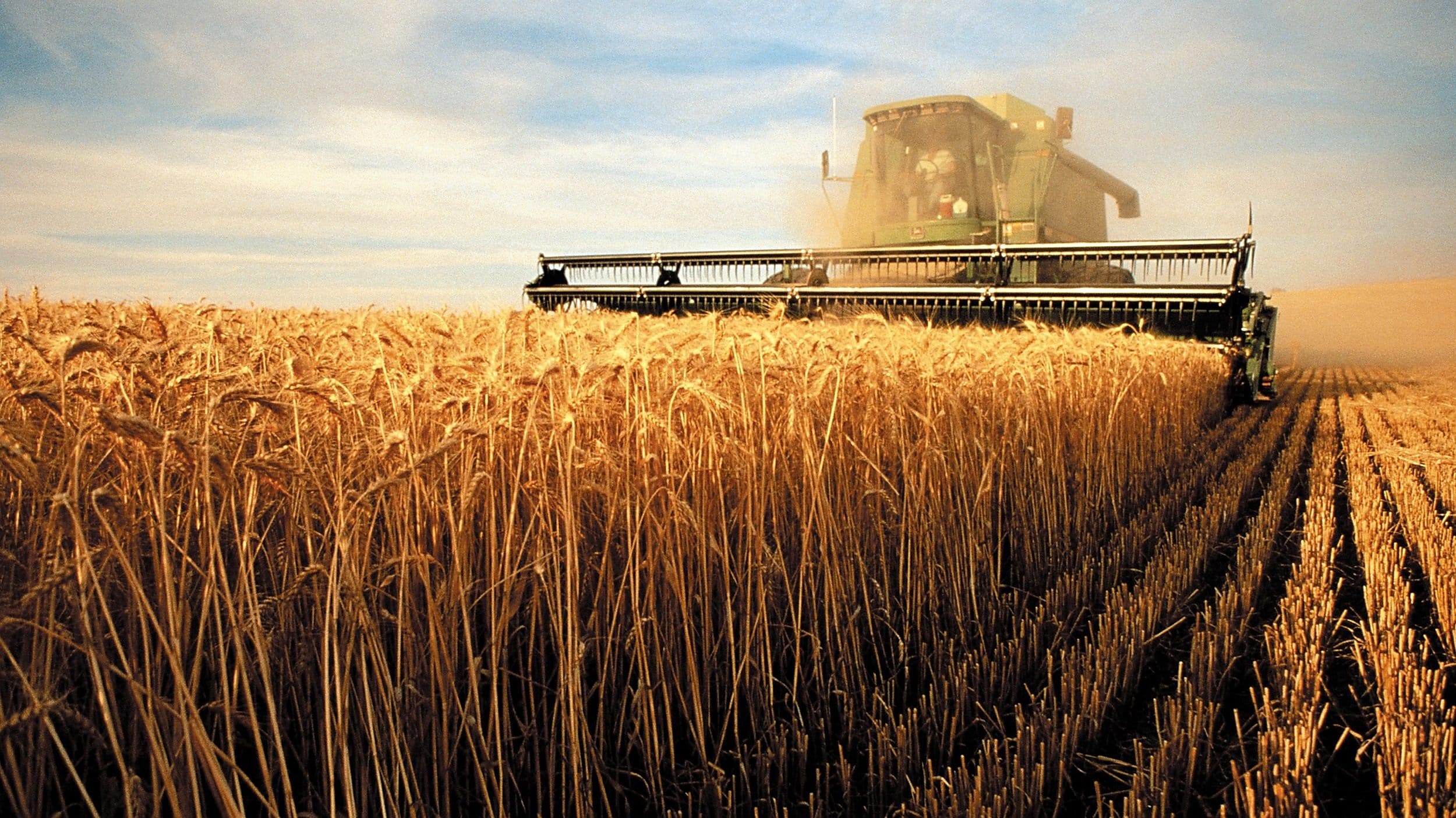 Аграрный это. Уборка пшеницы комбайном Кубань. Сельское хозяйство. Промышленность и сельское хозяйство. Сельхоз хозяйство.