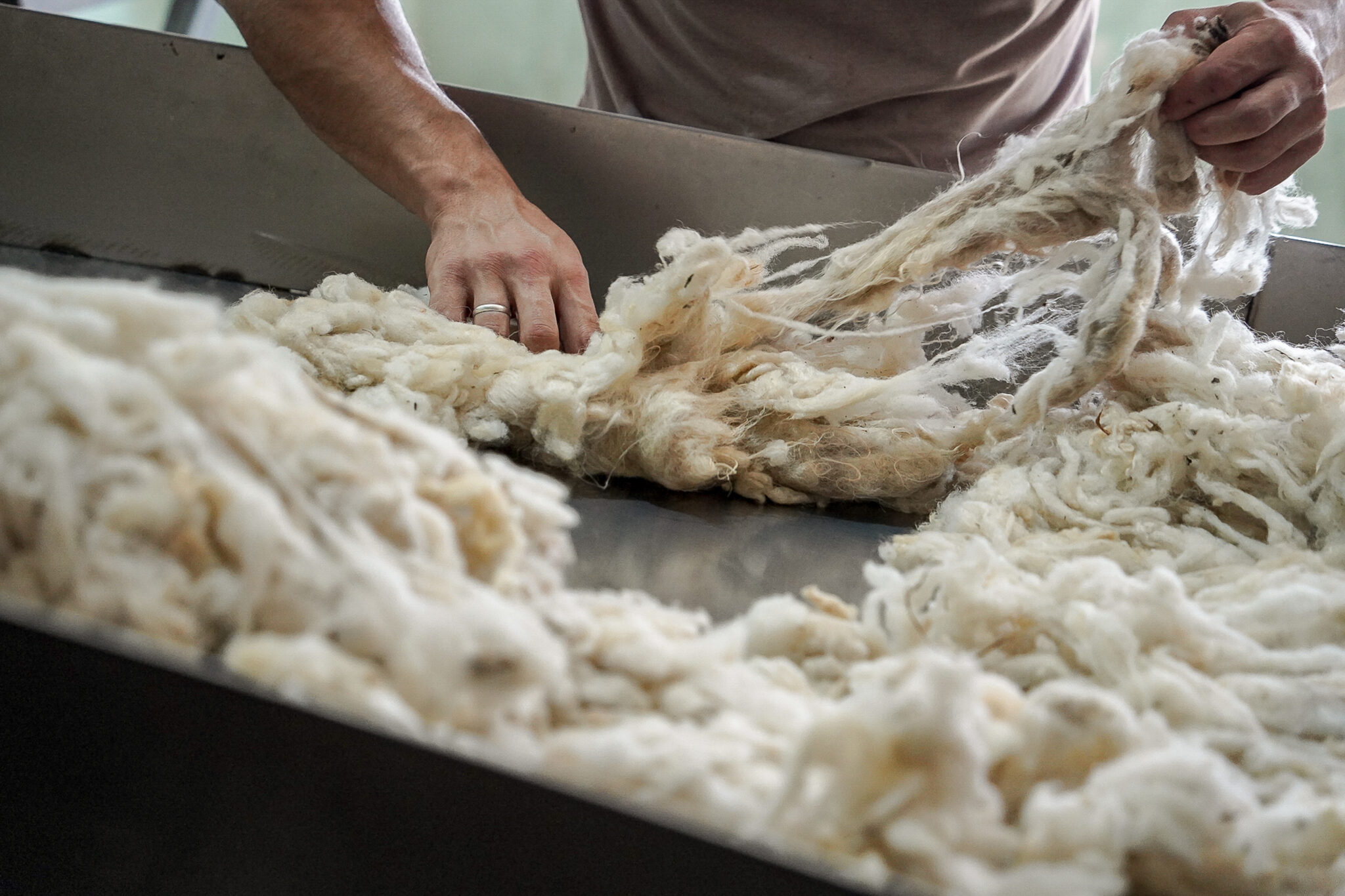 Завод по переработке овечьей шерсти за 1,2 млрд начали строить