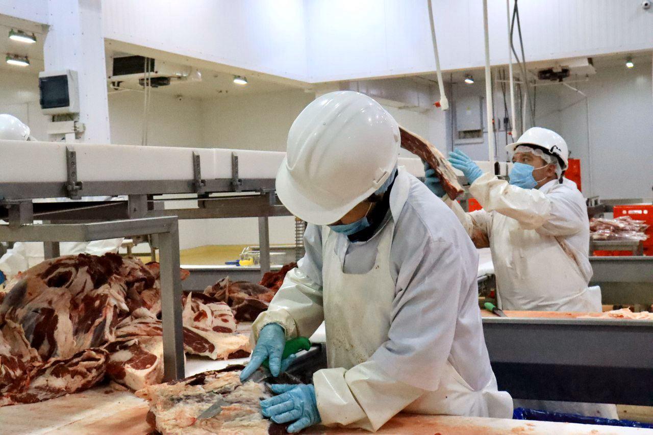 The Ministry of Agriculture started to inspect Kazakhstan's meat-processing enterprises