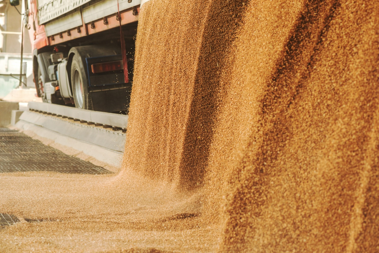 Egypt is negotiating with the UAE on financing the purchase of wheat from Kazakhstan
