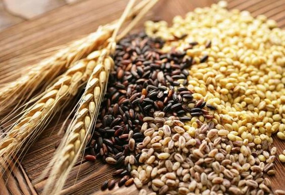 Казахстан в лидерах среди стран-экспортеров по органической пшенице и льну