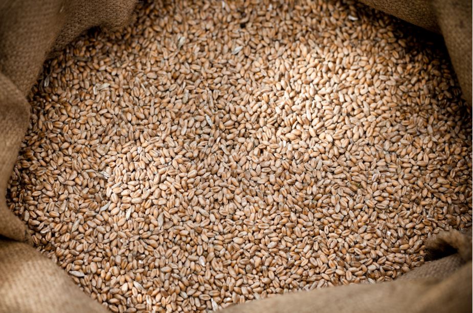 В Казахстане будут по-новому финансировать хранение резервного запаса зерна