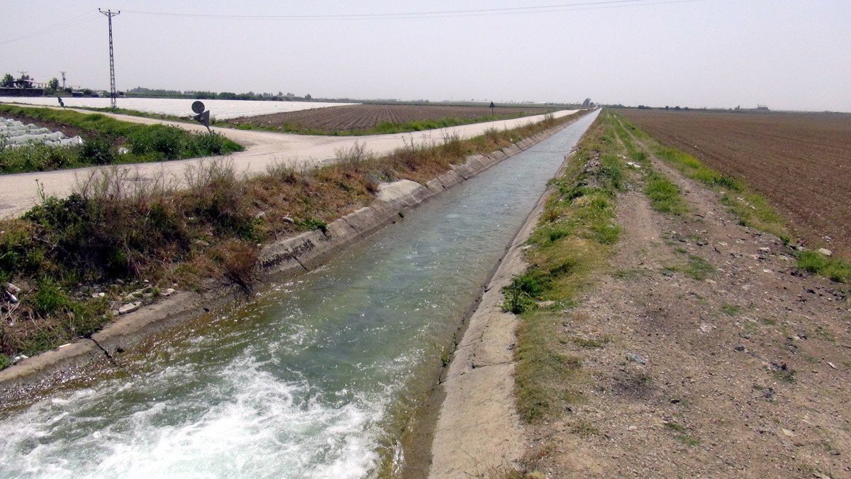 Фермеры теряют урожай из-за реконструкции водных каналов