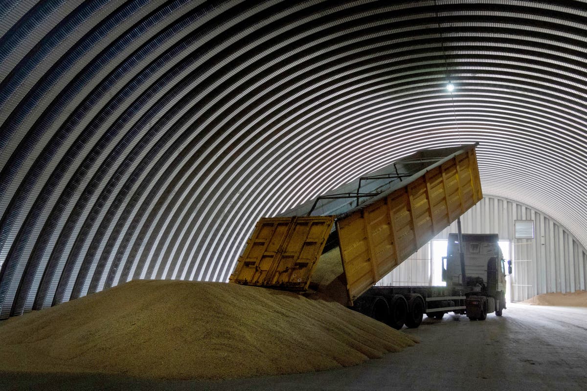 Турция закроет импорт пшеницы