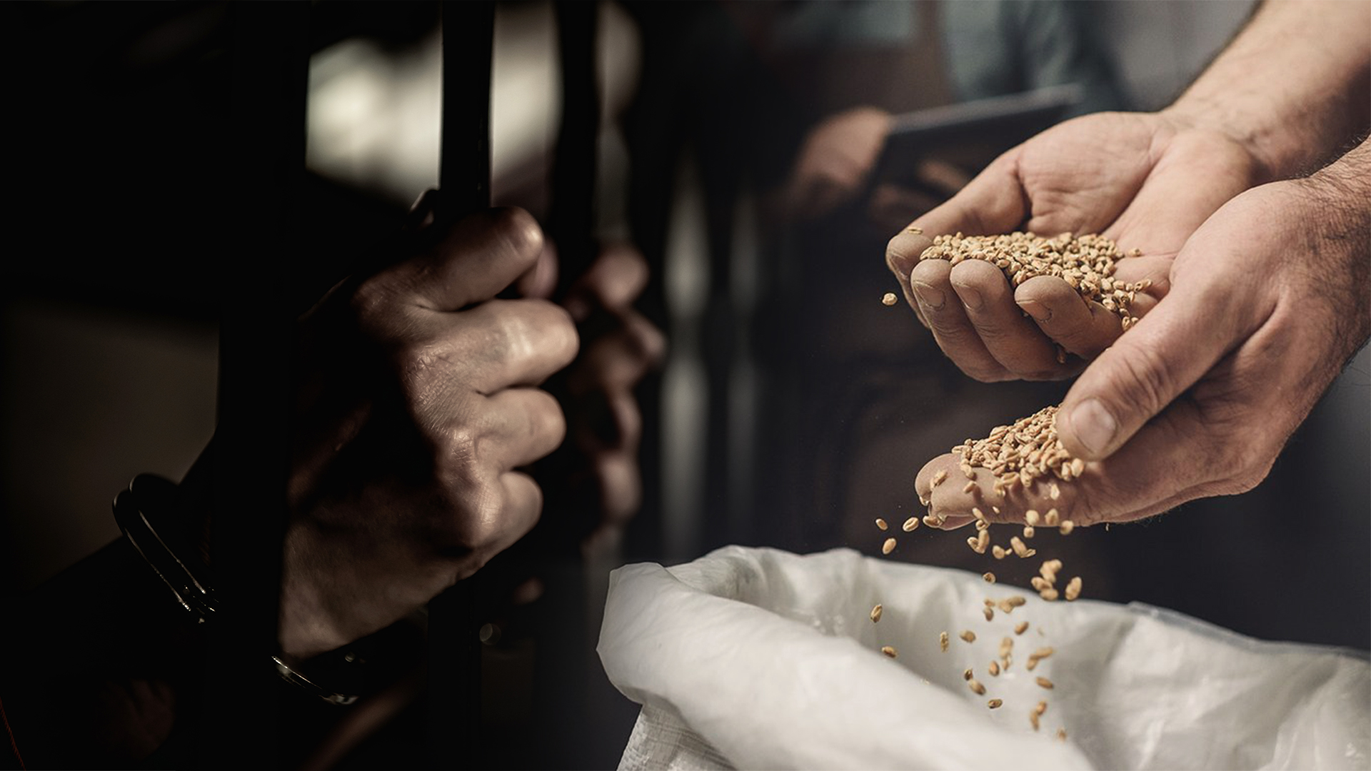 5 лет тюрьмы грозит сельчанам за кражу зерна