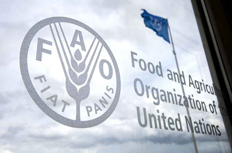 Food and Agriculture Organization's (FAO) Committee on Agriculture focuses on how livestock sector transformation can contribute to achieving the Sustainable Development Goals (SDG)