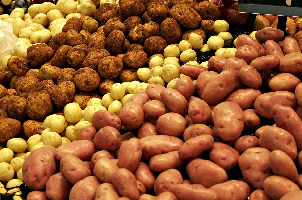 На 70% увеличился экспорт картофеля из Казахстана