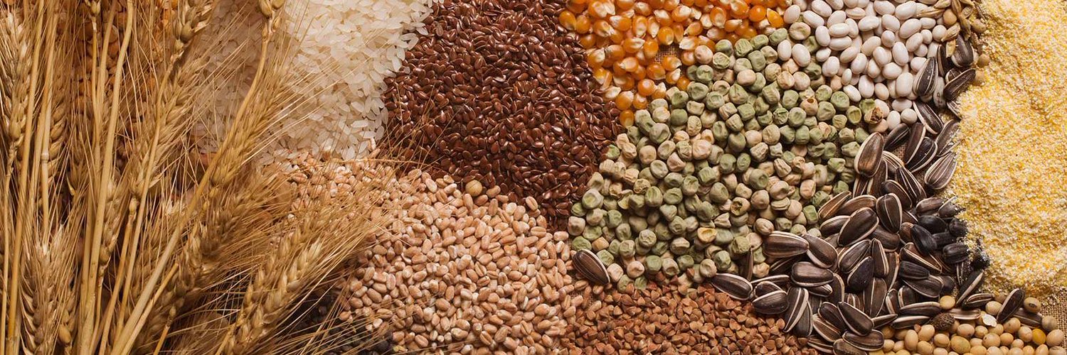 День семян-2022 пройдет в столице