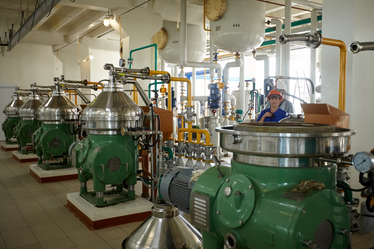 Маслоэкстракционный завод построят в Павлодарской области