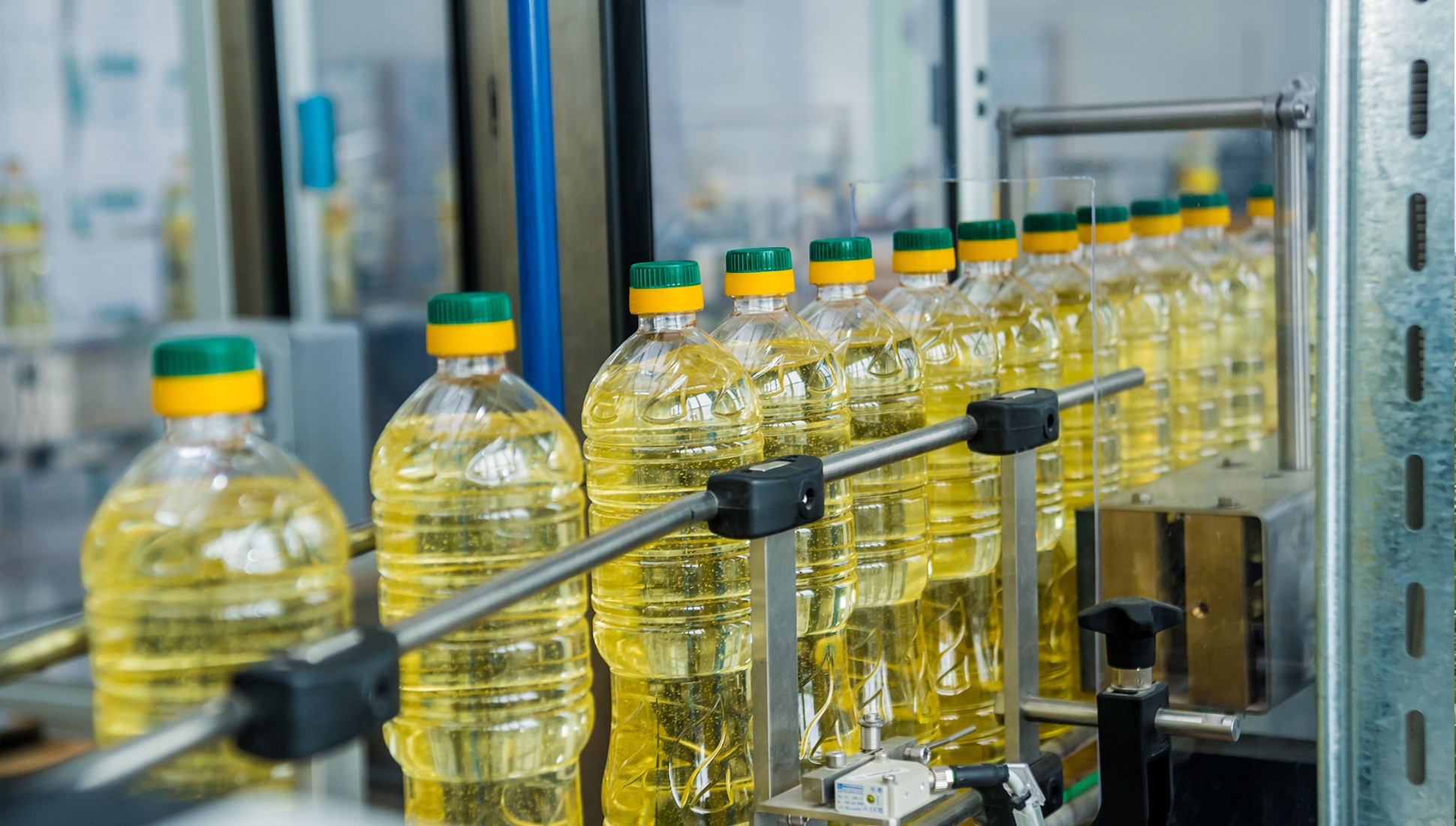 В Казахстане выросло производство подсолнечного масла