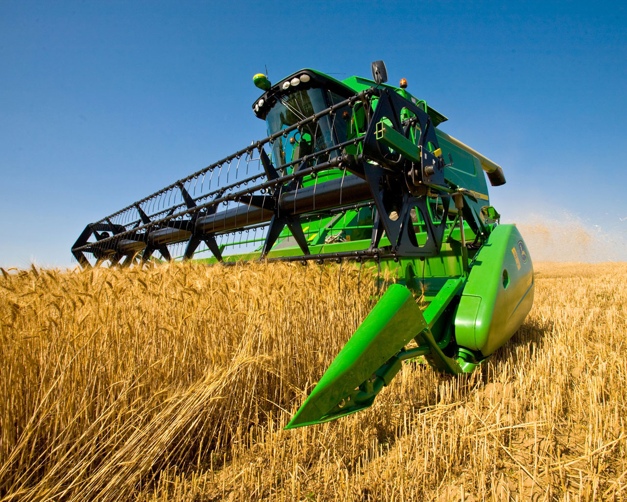 Британец установил мировой рекорд по урожаю пшеницы