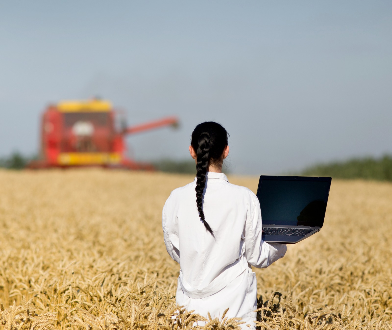 Гранты по сельхознаправлениям сократили вдвое