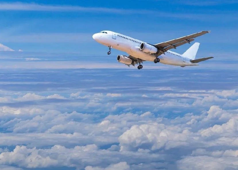 Казахстан будет делать авиатопливо из пшеницы