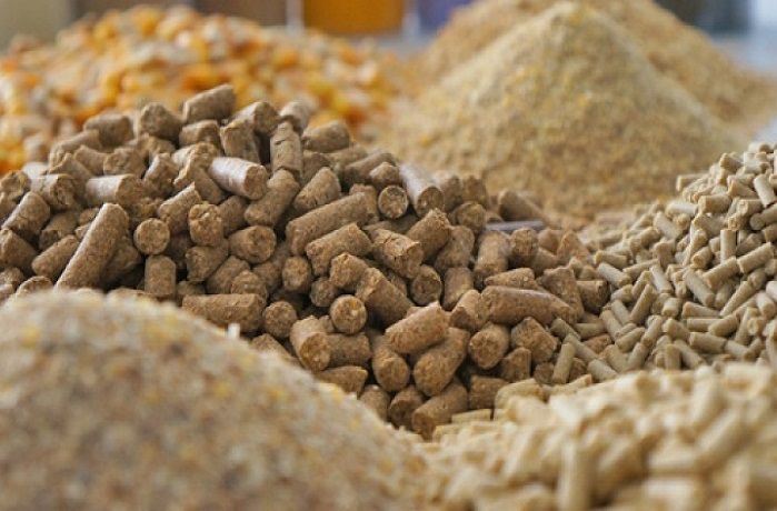 A plant of bio-feed additives for livestock will be built in Almaty region 