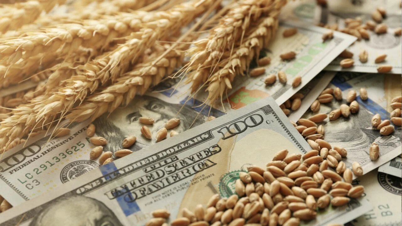 ФАО предоставит украинцам скот, семена, корма и пособия