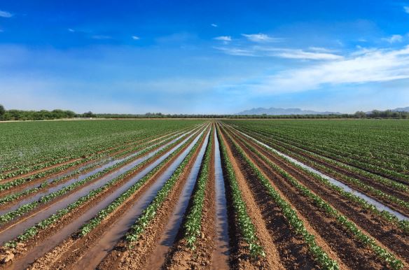 Минсельхоз продолжает компенсировать затраты сельхозпроизводителей на приобретение систем орошения 