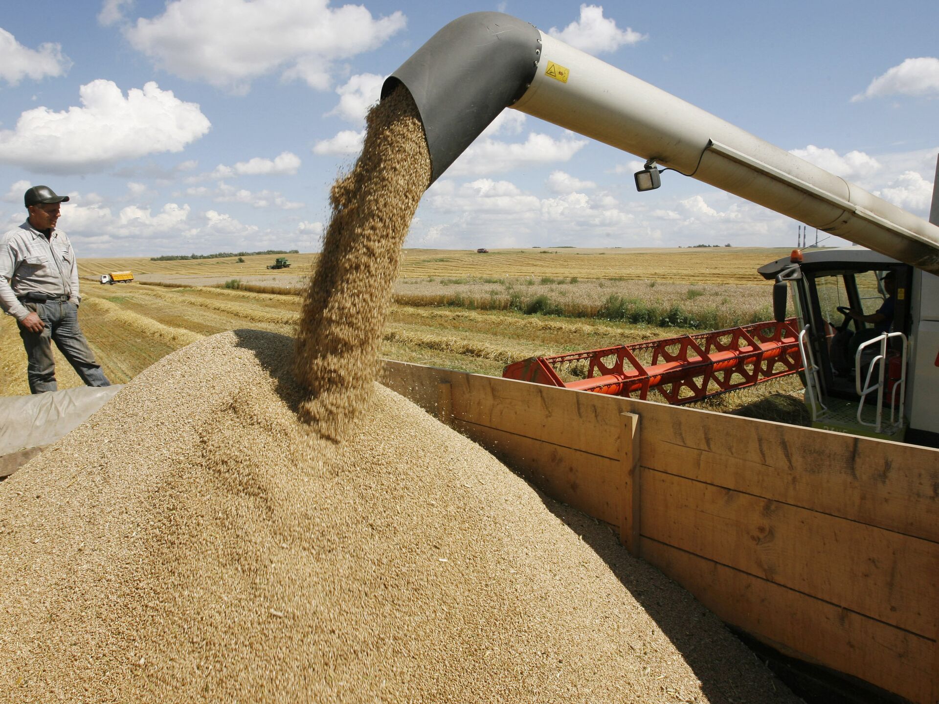 В России себестоимость зерна вырастет на 30%