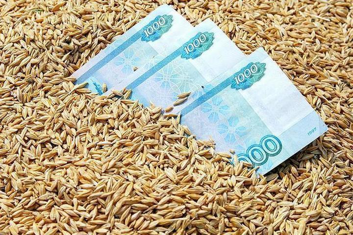 В России экспортная пошлина на пшеницу вырастет до 3000 рублей