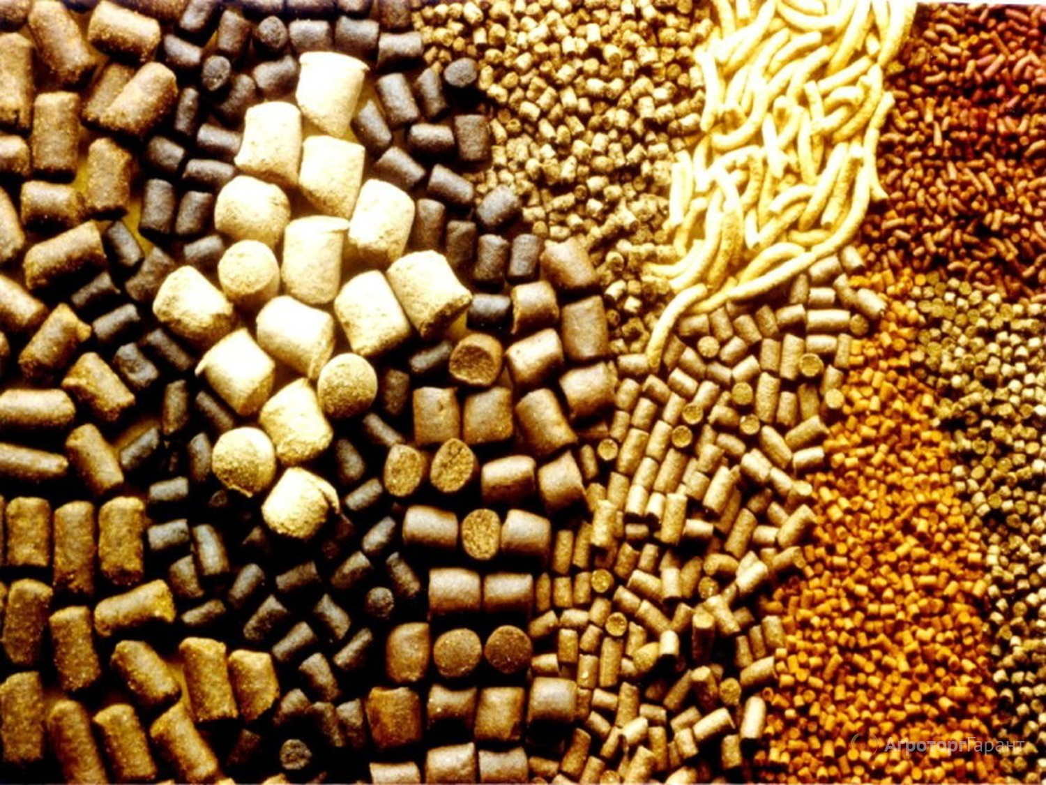 Казахстан установил рекорд по экспорту кормов для животных