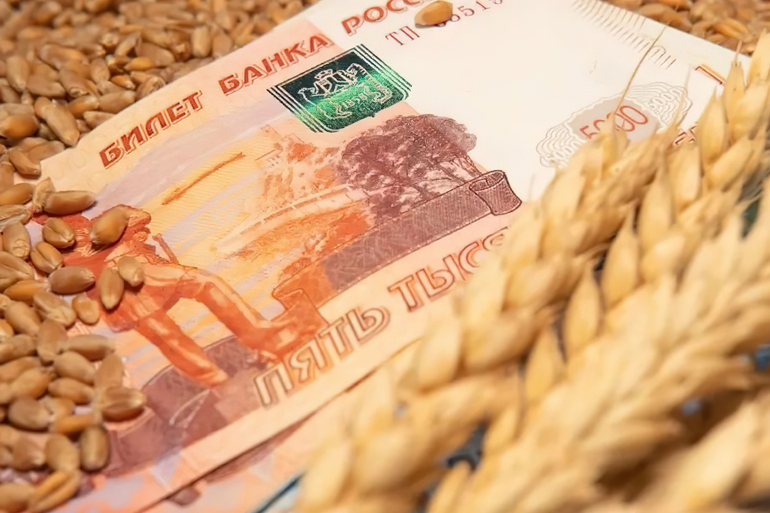 Ресей депутаттары фермерлерден экспорттық баж салығын алып тастауды ұсынды