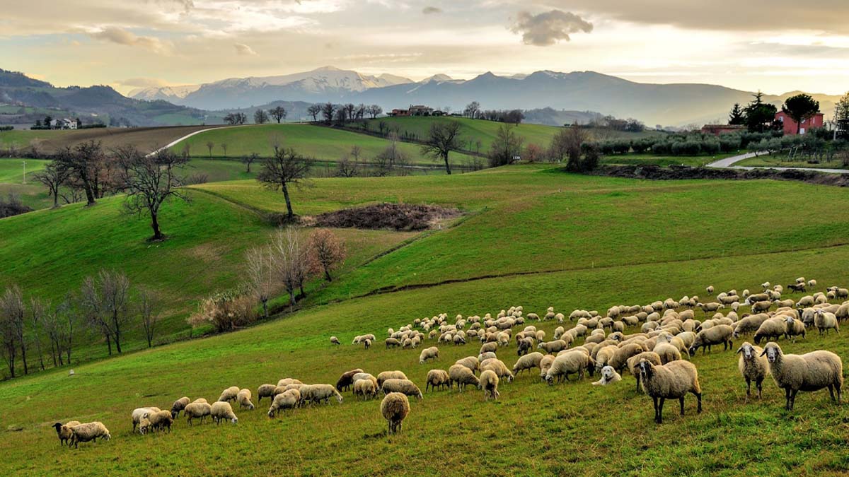 Kazakhstani people complained about labour conditions on British farms