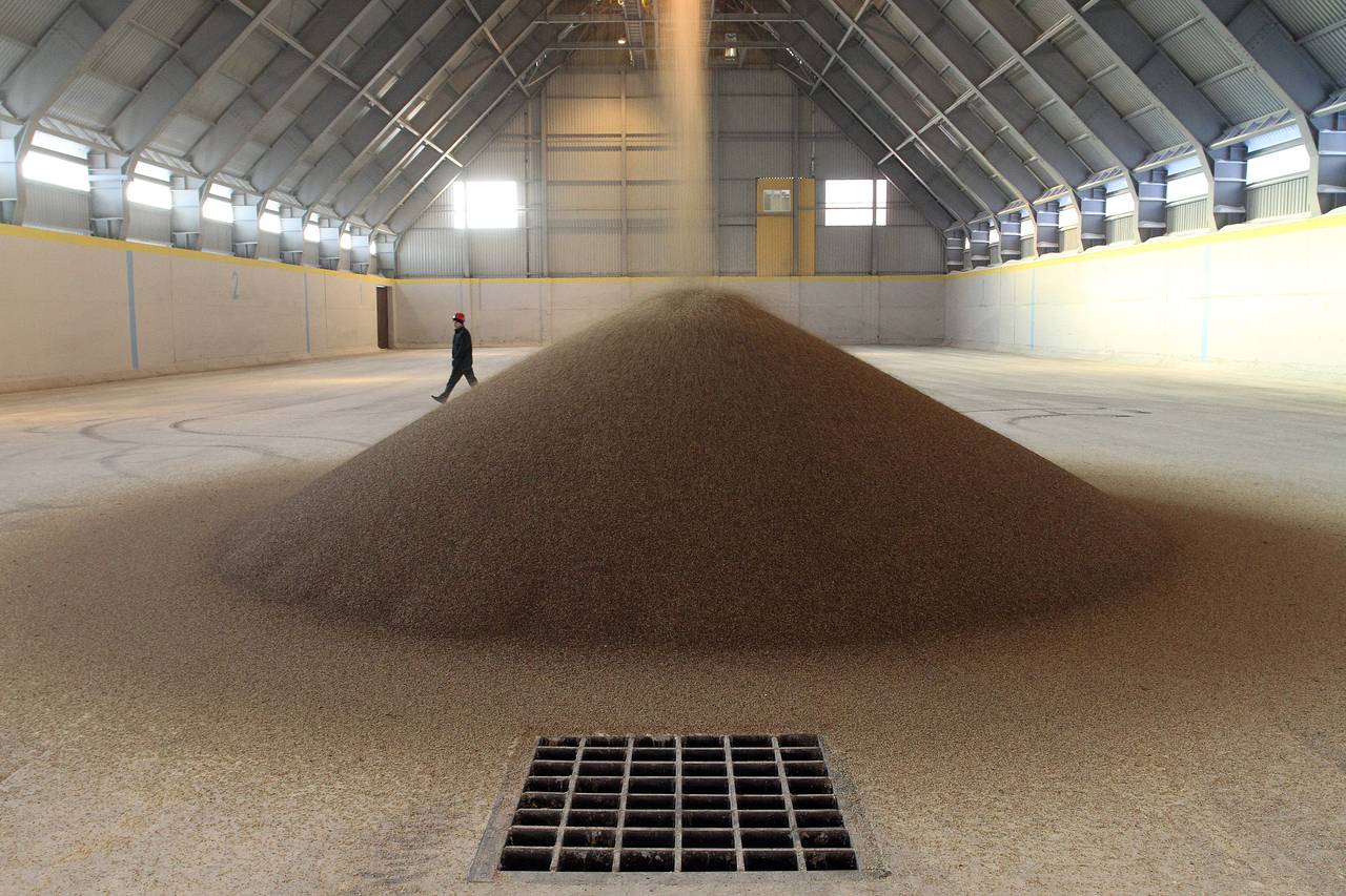 The government was offered to buy out three million tons of ungraded grain