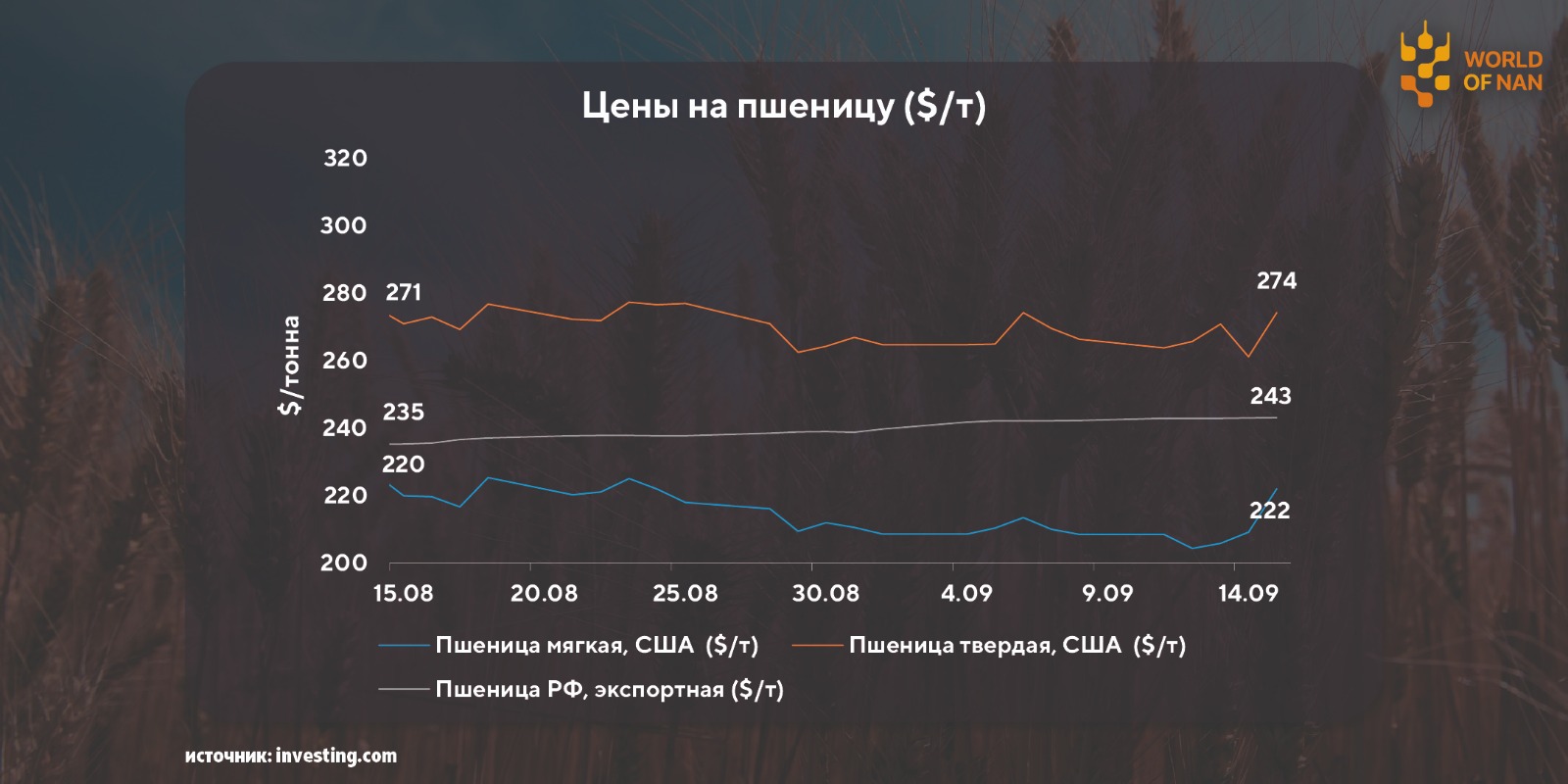 Сахар продолжает расти в цене