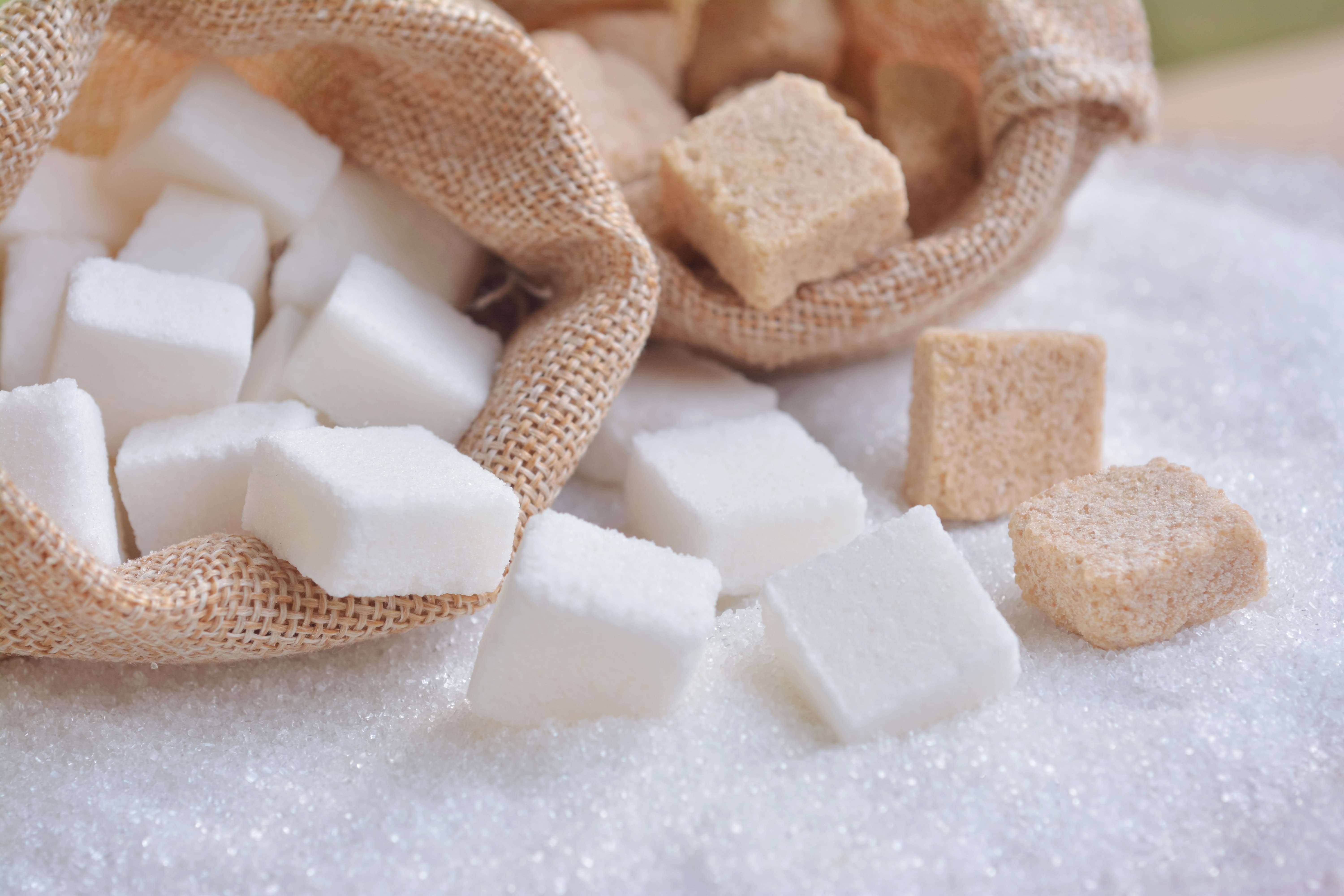 Казахстанские сахарные заводы вынуждены простаивать из-за недостатка сырья
