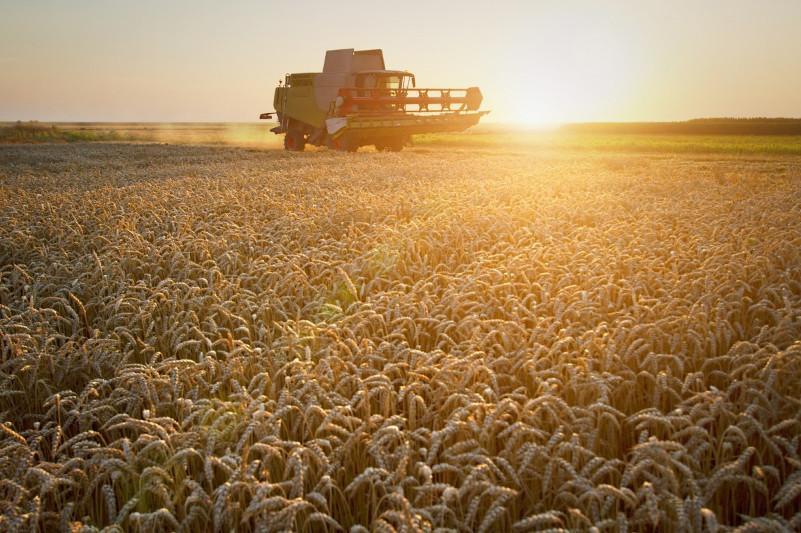 В СКО намерены законодательно усилить ответственность сельхозтоваропроизводителей