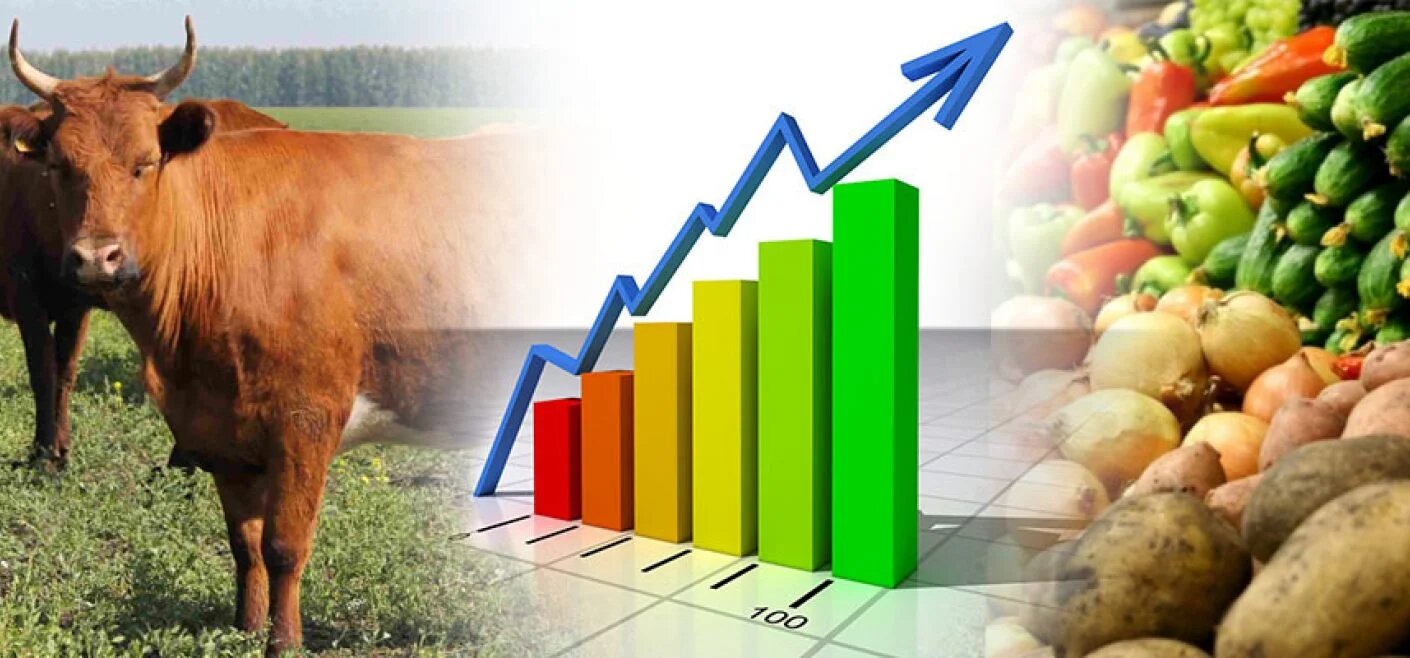 ЕЭК: производство сельхозпродукции в Казахстане увеличилось на 3,2%
