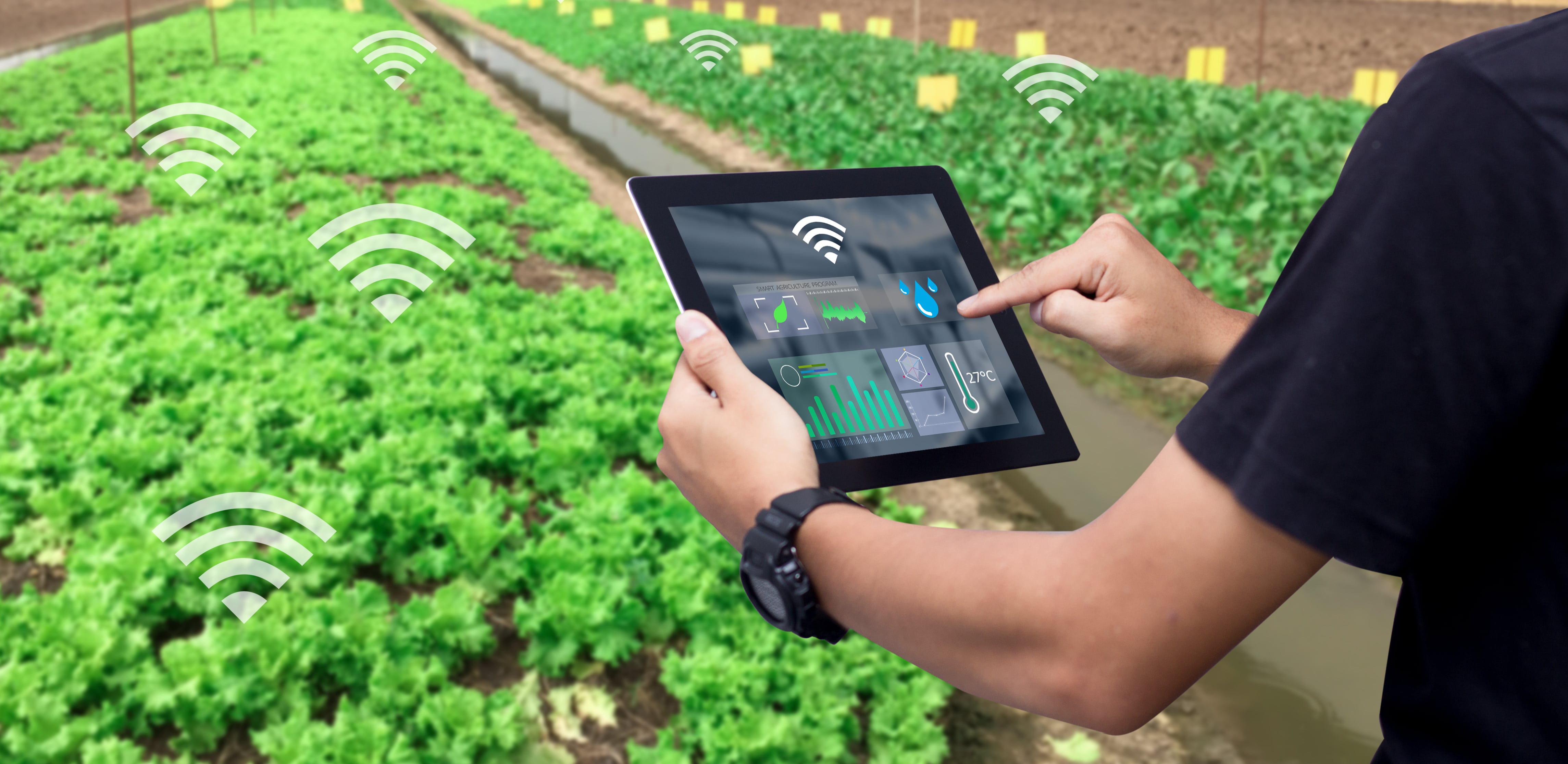 ФАО за цифровые технологии для преобразования агропродовольственных систем
