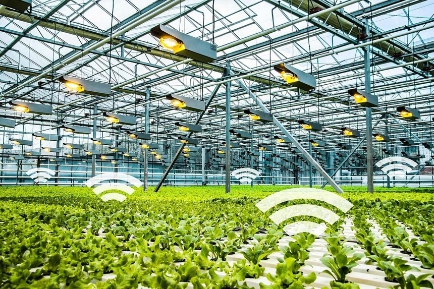 Корея и Казахстан откроют «умную» теплицу